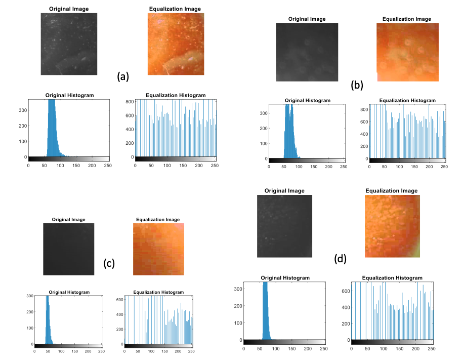 Figure 2: Intensity vs. pixel of tomato taken from the local market of Nepal (Kathmandu)